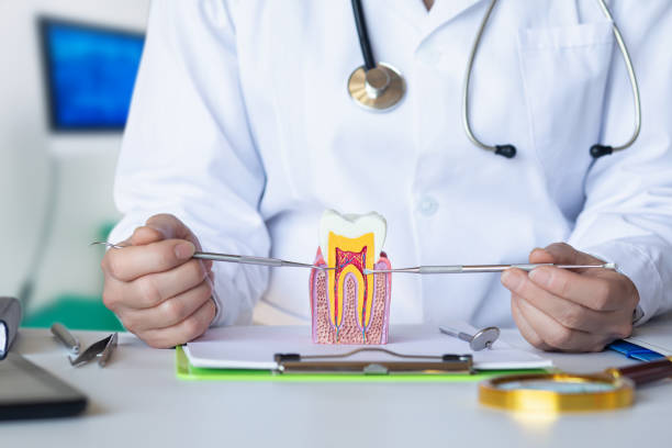 Best Emergency TMJ Treatment in Belhaven, NC